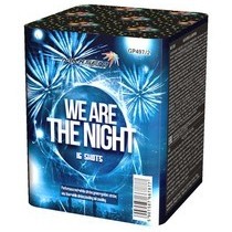 WE ARE THE NIGHT